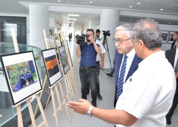 Artworks of Photographer Mehmet Gökyigit (1) image